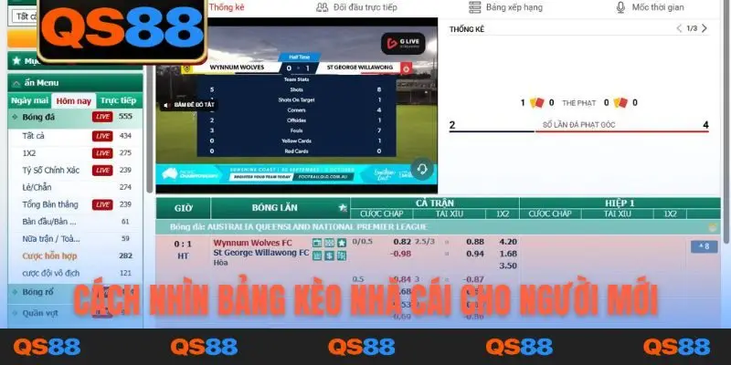 Cách nhìn bảng kèo nhà cái cho người mới