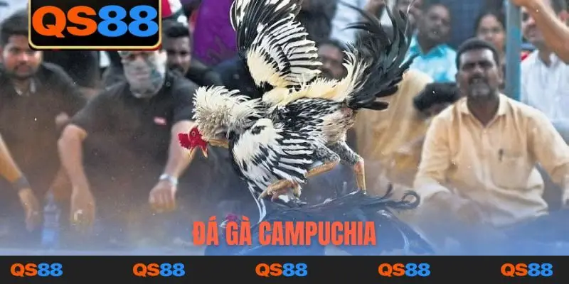 Đá gà Campuchia