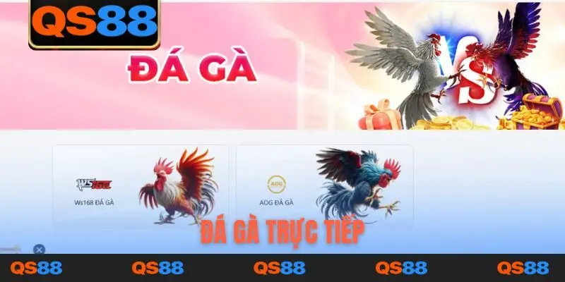 đá gà trực tiếp