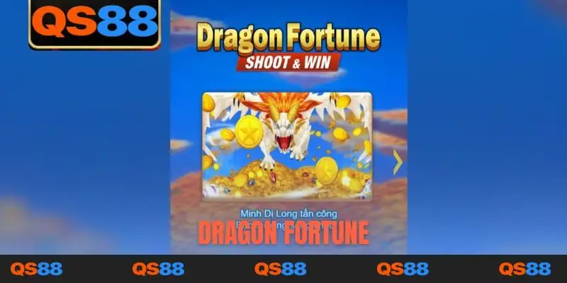 Dragon Fortune